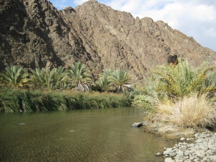 oasis, wadi, palm trees, creek, hills, mountain, desert stream