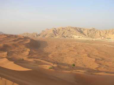 desert, sand, dunes, sand dunes, 